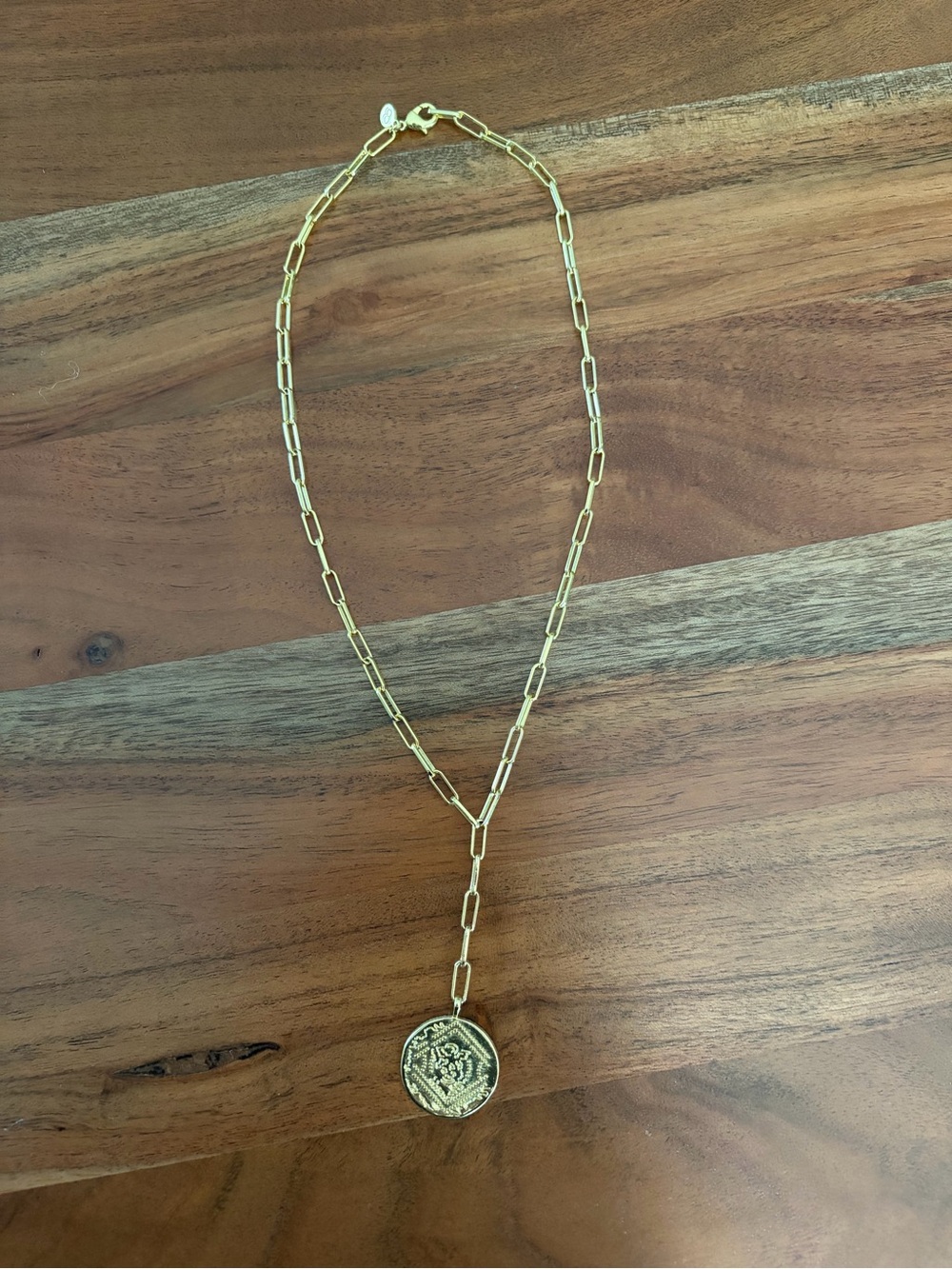 Gorjana Ana Coin Lariat